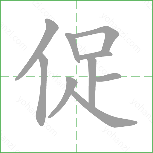 促 Stroke Order Animation