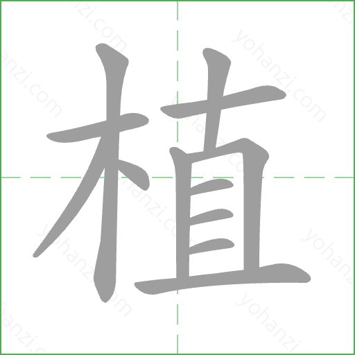 植 Stroke Order Animation