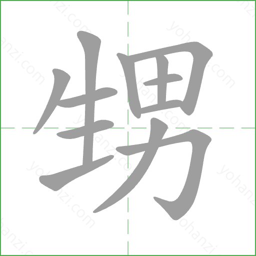 甥 Stroke Order Animation