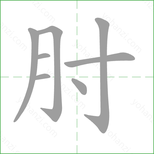 肘 Stroke Order Animation
