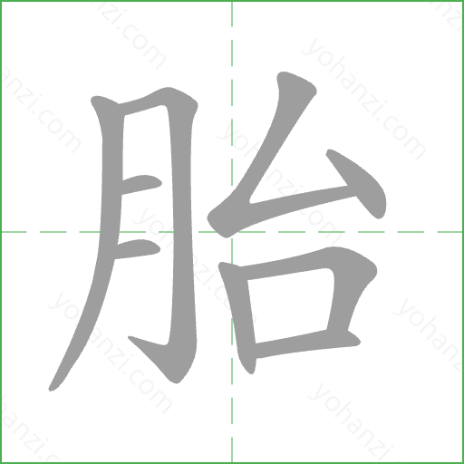 胎 Stroke Order Animation