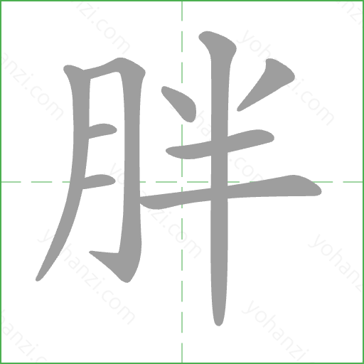 胖 Stroke Order Animation