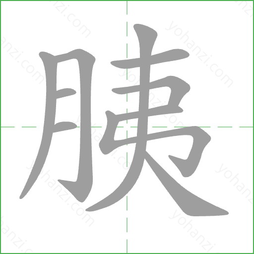 胰 Stroke Order Animation