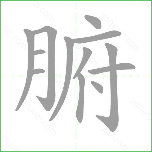 腑 Stroke Order Animation