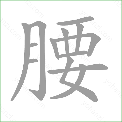 腰 Stroke Order Animation