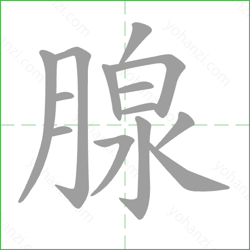 腺 Stroke Order Animation
