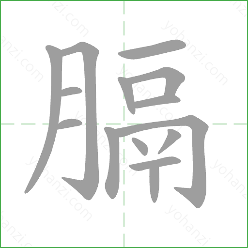 膈 Stroke Order Animation