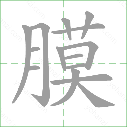 膜 Stroke Order Animation