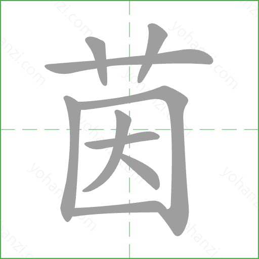 茵 Stroke Order Animation