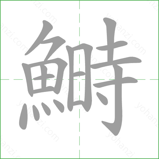 鰣 Stroke Order Animation
