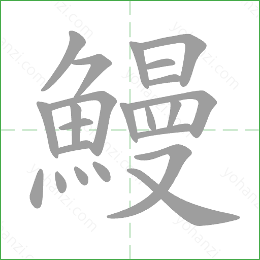 鰻 Stroke Order Animation
