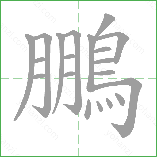 鵬 Stroke Order Animation
