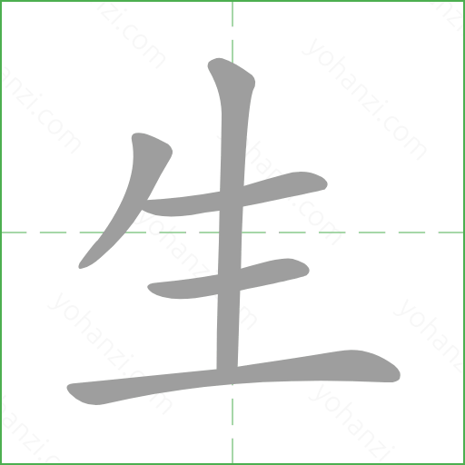 生 details - yohanzi.com
