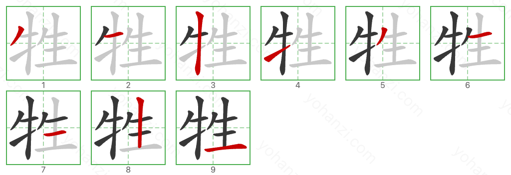 牲 Stroke Order Diagrams