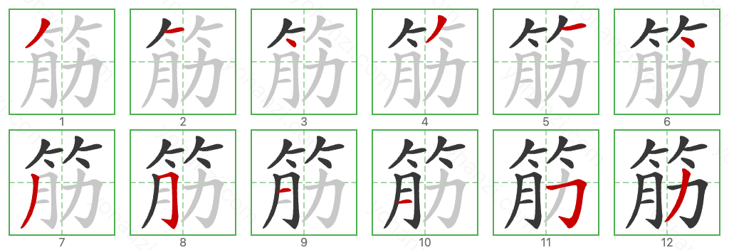 筋 Stroke Order Diagrams