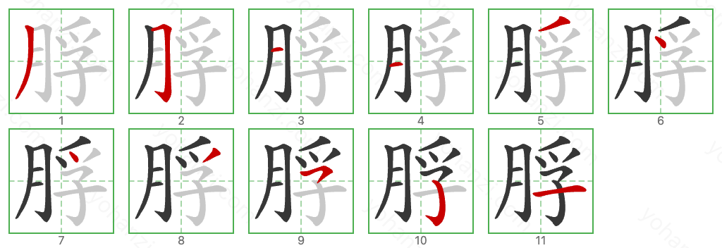 脬 Stroke Order Diagrams