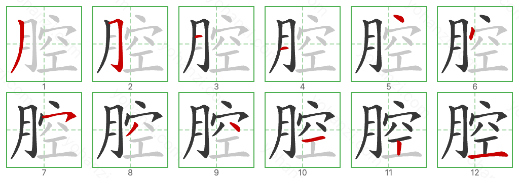 腔 Stroke Order Diagrams