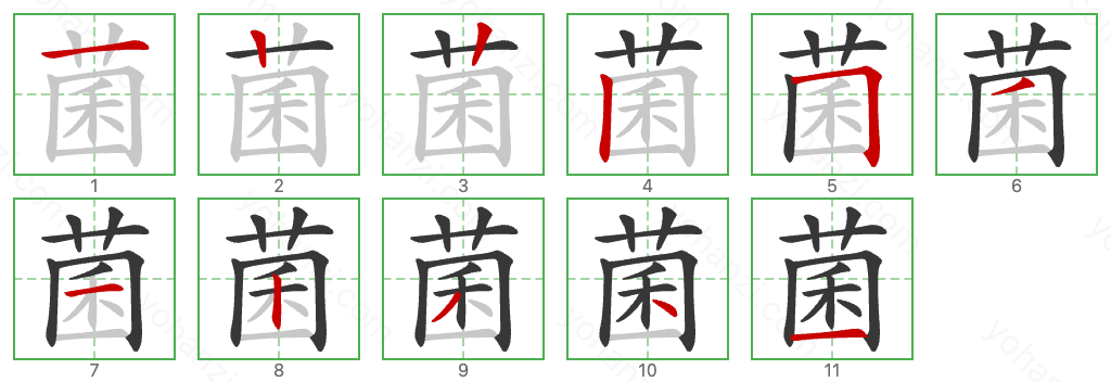 菌 Stroke Order Diagrams