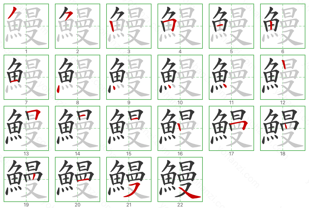 鰻 Stroke Order Diagrams