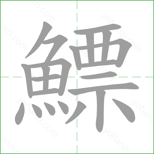鰾 Stroke Order Animation