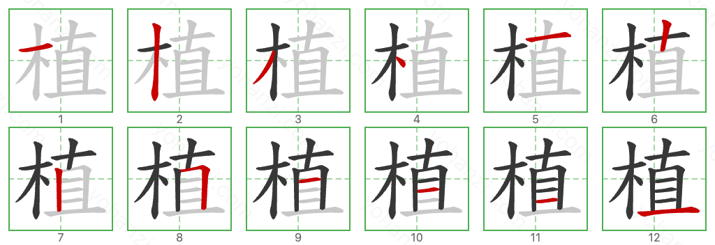 植 Stroke Order Diagrams