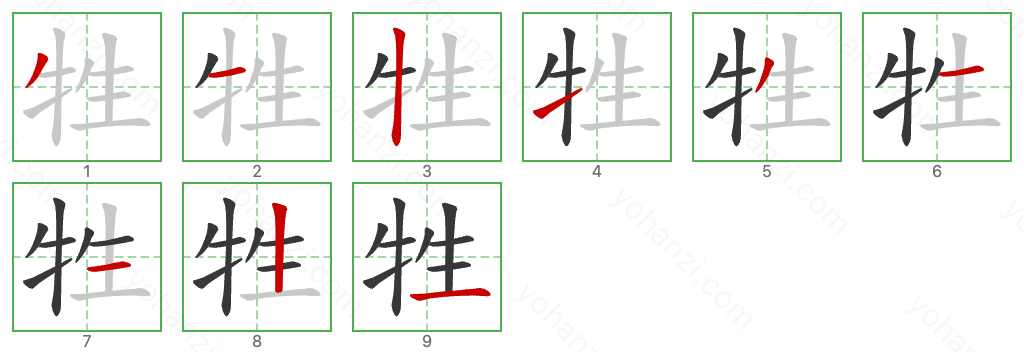 牲 Stroke Order Diagrams