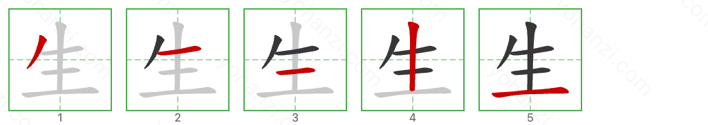 生 Stroke Order Diagrams