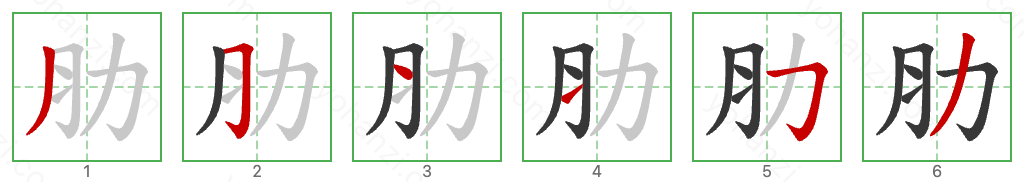 肋 Stroke Order Diagrams