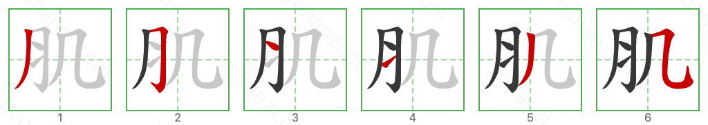 肌 Stroke Order Diagrams