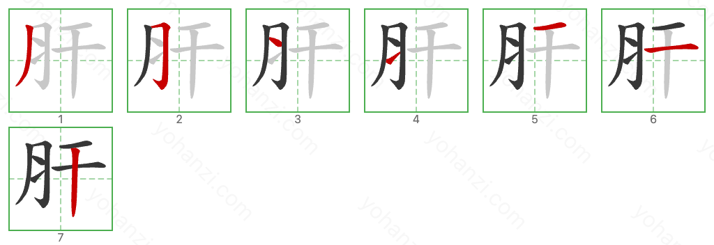 肝 Stroke Order Diagrams