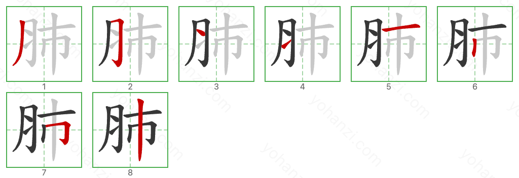 肺 Stroke Order Diagrams