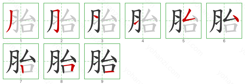 胎 Stroke Order Diagrams