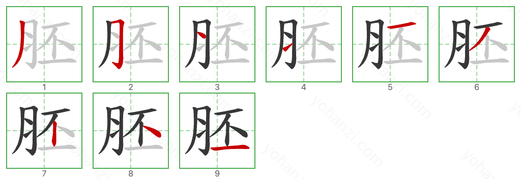 胚 Stroke Order Diagrams