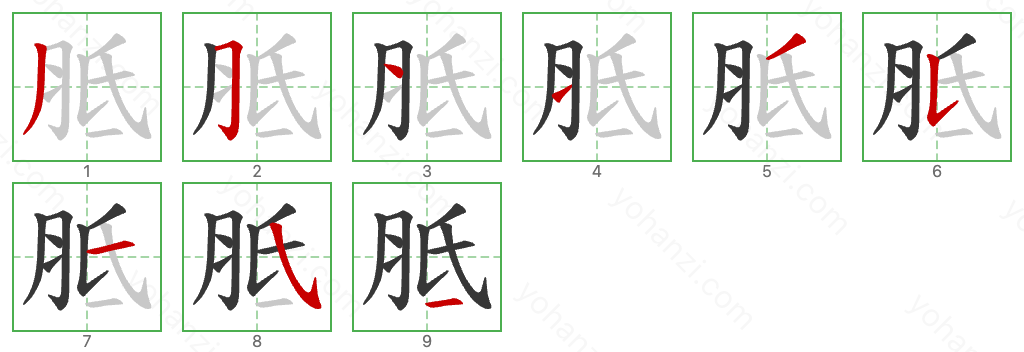 胝 Stroke Order Diagrams