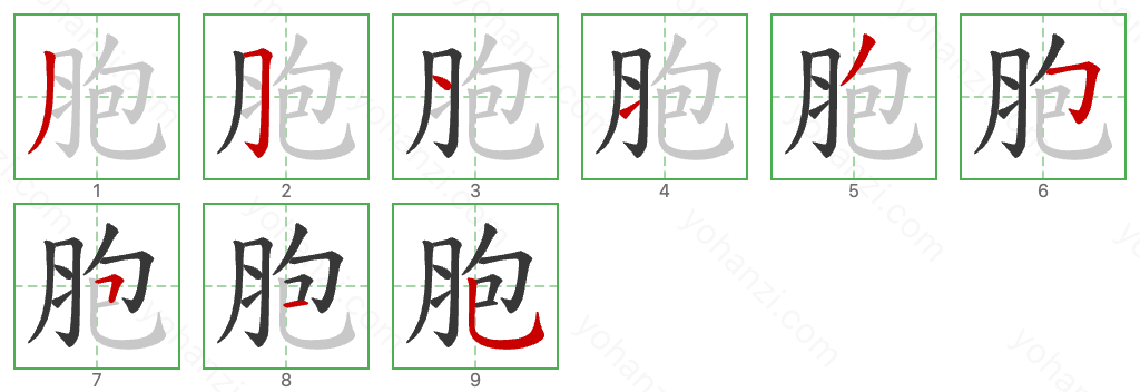 胞 Stroke Order Diagrams