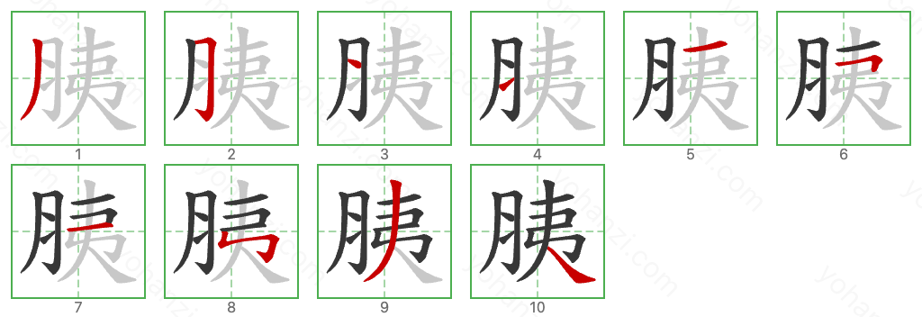 胰 Stroke Order Diagrams