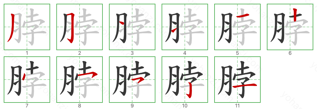 脖 Stroke Order Diagrams