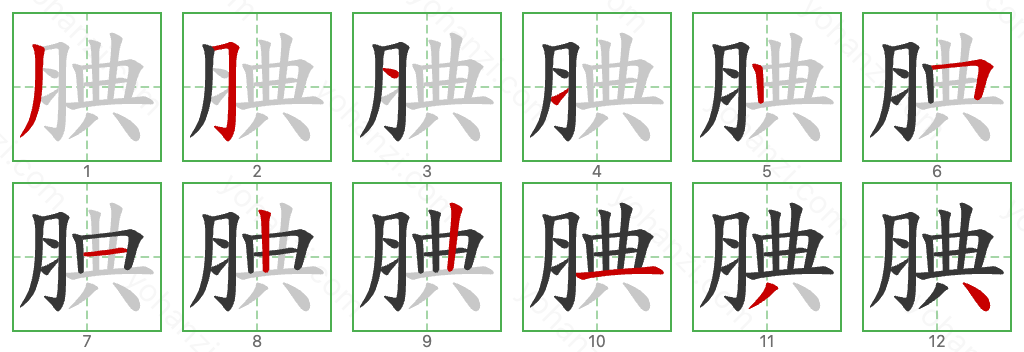 腆 Stroke Order Diagrams