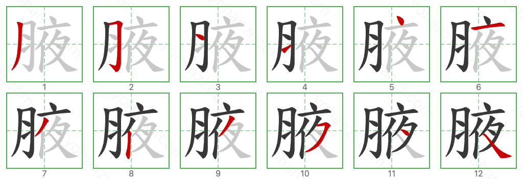 腋 Stroke Order Diagrams