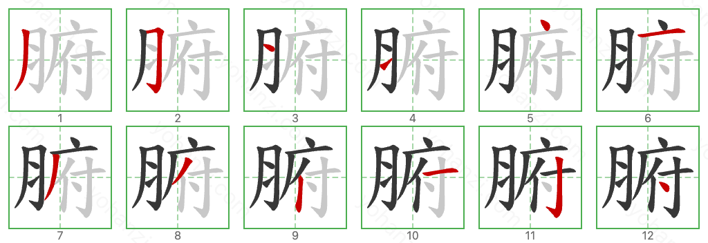 腑 Stroke Order Diagrams