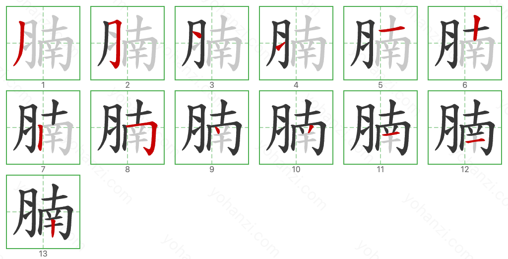 腩 Stroke Order Diagrams