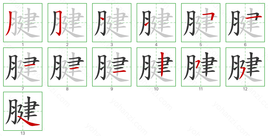 腱 Stroke Order Diagrams