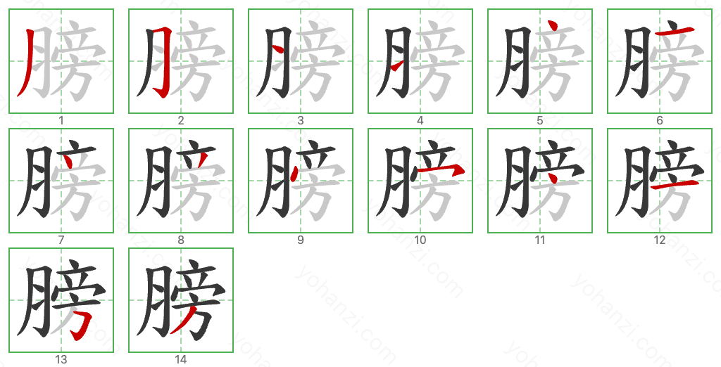 膀 Stroke Order Diagrams