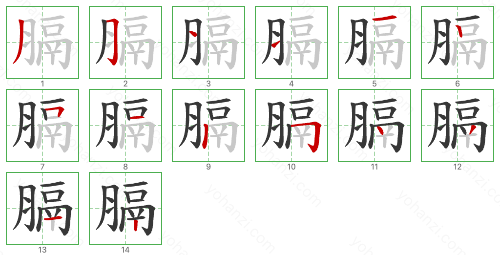 膈 Stroke Order Diagrams