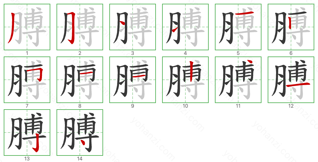 膊 Stroke Order Diagrams