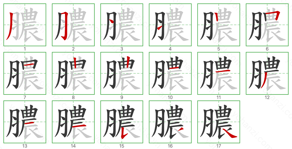 膿 Stroke Order Diagrams