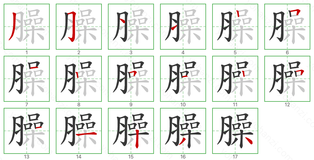 臊 Stroke Order Diagrams