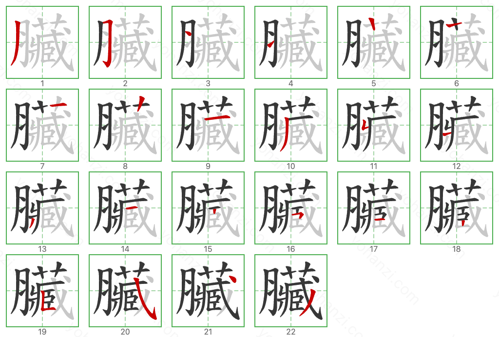 臟 Stroke Order Diagrams