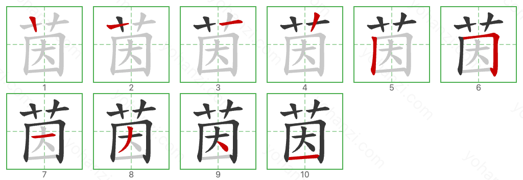 茵 Stroke Order Diagrams