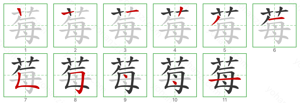 莓 Stroke Order Diagrams